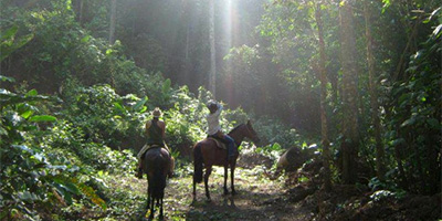 Horseback Riding