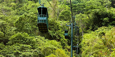 Rainforest Aerial Tram