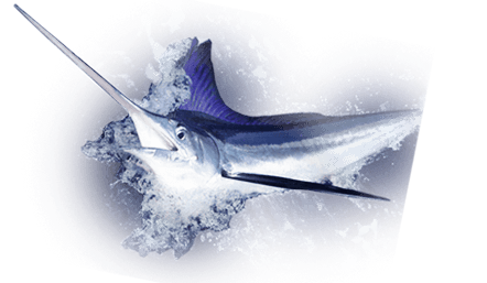 World Class Sport Fishing